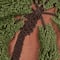 Hello Honey® Pink Tropical Palm Tree Embroidered Velvet Pillow